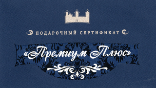 Премиум +