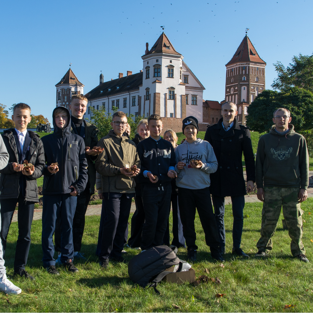 В парке Мирского замка появились новые растения